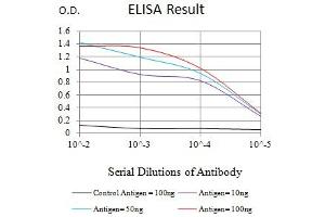 Black line: Control Antigen (100 ng),Purple line: Antigen (10 ng), Blue line: Antigen (50 ng), Red line:Antigen (100 ng) (Glypican 3 anticorps  (AA 359-554))