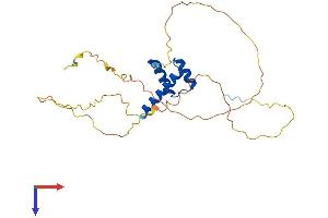 AlphaFold protein structure predicition of Human Recombinant VENTX Protein, UniprotID O95231