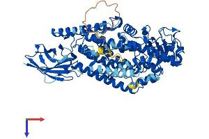 AlphaFold protein structure predicition of Human Recombinant ALOXE3 Protein, UniprotID Q9BYJ1