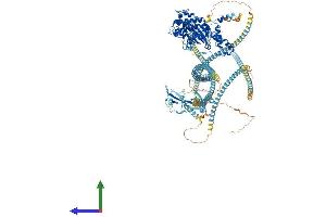 AlphaFold protein structure predicition of Mouse Recombinant Rock2 Protein, UniprotID P70336
