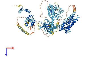 AlphaFold protein structure predicition of Human Recombinant ECT2L Protein, UniprotID Q008S8