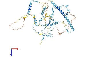 AlphaFold protein structure predicition of Human Recombinant LTV1 Protein, UniprotID Q96GA3