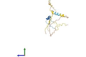 AlphaFold protein structure predicition of Human Recombinant CITED1 Protein, UniprotID Q99966