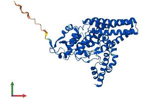 AlphaFold protein structure predicition of Human Recombinant FADS1 Protein, UniprotID O60427