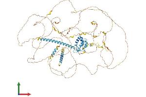 AlphaFold protein structure predicition of Human Recombinant SRRM1 Protein, UniprotID Q8IYB3