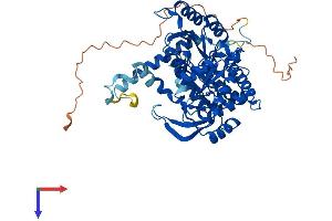 AlphaFold protein structure predicition of Mouse Recombinant Sptlc2 Protein, UniprotID P97363