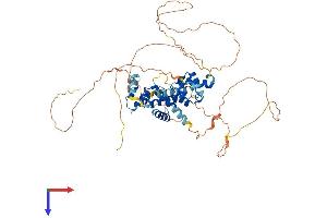 AlphaFold protein structure predicition of Human Recombinant NAB2 Protein, UniprotID Q15742