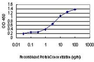 Detection limit for recombinant GST tagged CDKL1 is approximately 0.