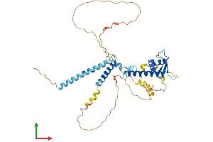 AlphaFold protein structure predicition of Human Recombinant ABRA Protein, UniprotID Q8N0Z2