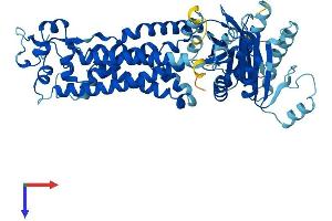 AlphaFold protein structure predicition of Mouse Recombinant Nox3 Protein, UniprotID Q672J9
