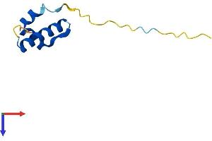 AlphaFold protein structure predicition of Human Recombinant CTNNBIP1 Protein, UniprotID Q9NSA3