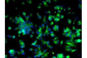 Image provided by One World Lab validation program.