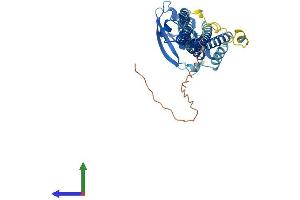 AlphaFold protein structure predicition of Human Recombinant PICK1 Protein, UniprotID Q9NRD5