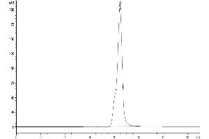 The purity of Mouse C-Reactive Protein/CRP is greater than 95 % as determined by SEC-HPLC.