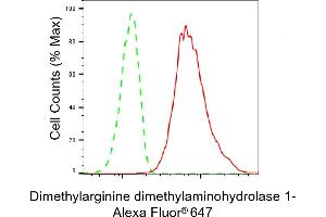 Flow cytometric analysis of Dimethylarginine dimethylaminohydrolase 1 expression in HT- cells using Dimethylarginine dimethylaminohydrolase 1 antibody (ABIN7798342), 1:2,000). (Recombinant DDAH1 anticorps)