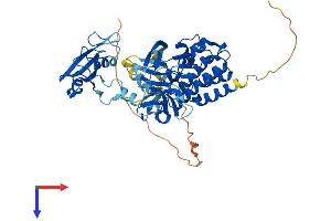 AlphaFold protein structure predicition of Mouse Recombinant Matk Protein, UniprotID P41242
