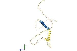 AlphaFold protein structure predicition of Mouse Recombinant Kcne4 Protein, UniprotID Q9WTW3