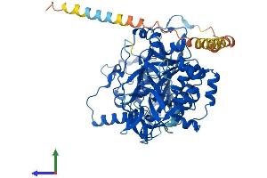 AlphaFold protein structure predicition of Mouse Recombinant Galnt6 Protein, UniprotID Q8C7U7
