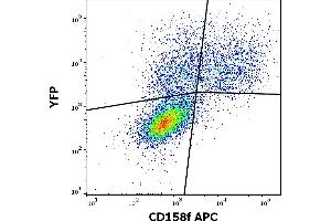 Flow cytometry surface staining pattern of KIR2DL5A (CD158f) transfected HEK-293 cells co-transfected with YFP coding plasmid using anti-human CD158f (UP-R1) APC antibody (10 μL reagent / 100 μL of peripheral whole blood).