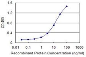 Detection limit for recombinant GST tagged SNX20 is 0. (SNX20 anticorps  (AA 47-128))