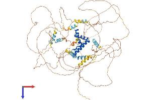AlphaFold protein structure predicition of Mouse Recombinant Bbx Protein, UniprotID Q8VBW5