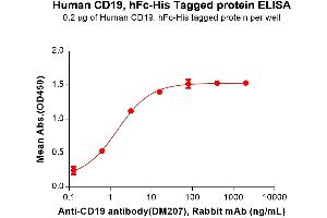 ELISA plate pre-coated by 2 μg/mL (100 μL/well) Human CD19 Protein, hFc-His tag (ABIN6964071, ABIN7042397 and ABIN7042398) can bind Anti-CD19 antibody(DM207), Rabbit mAb in a linear range of 0.