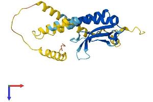AlphaFold protein structure predicition of Human Recombinant CHIC1 Protein, UniprotID Q5VXU3