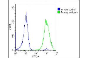 Overlay histogram showing U-2 OS cells stained with (ABIN6244021 and ABIN6578763)(green line).