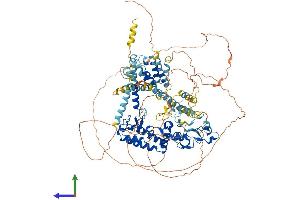 AlphaFold protein structure predicition of Human Recombinant RUBCN Protein, UniprotID Q92622