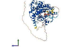 AlphaFold protein structure predicition of Mouse Recombinant Cry1 Protein, UniprotID P97784