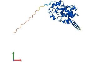 AlphaFold protein structure predicition of Human Recombinant CDKN3 Protein, UniprotID Q16667