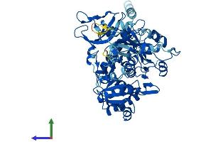 AlphaFold protein structure predicition of Human Recombinant SLC27A2 Protein, UniprotID O14975
