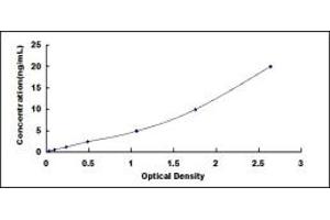 Typical standard curve (DNM2 Kit ELISA)
