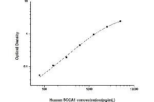 Typical standard curve (SCCA1 Kit ELISA)