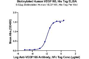 Immobilized Biotinylated Human VEGF165 at 0. (VEGF 165 (AA 27-191) protein (His-Avi Tag,Biotin))