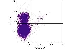BALB/c mouse thymocytes were stained with Hamster Anti-Mouse TCRγδ-BIOT. (TCRgd anticorps (Biotin))