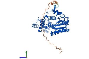 AlphaFold protein structure predicition of Human Recombinant CLVS2 Protein, UniprotID Q5SYC1