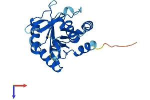 AlphaFold protein structure predicition of Human Recombinant EMC9 Protein, UniprotID Q9Y3B6