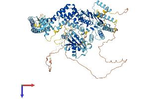 AlphaFold protein structure predicition of Mouse Recombinant Msh4 Protein, UniprotID Q99MT2