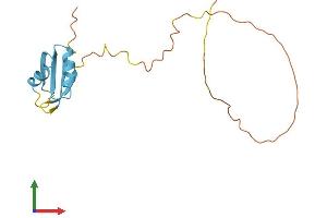 AlphaFold protein structure predicition of Mouse Recombinant Srsf3 Protein, UniprotID P84104