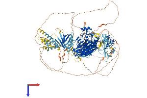 AlphaFold protein structure predicition of Mouse Recombinant Inppl1 Protein, UniprotID Q6P549