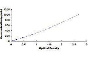 ELISA image for Annexin A5 (ANXA5) ELISA Kit (ABIN415430)