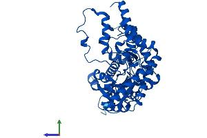 AlphaFold protein structure predicition of Mouse Recombinant Ddc Protein, UniprotID O88533