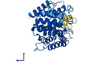 AlphaFold protein structure predicition of Human Recombinant ADPRHL1 Protein, UniprotID Q8NDY3