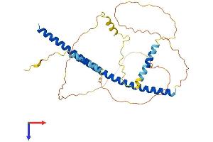 AlphaFold protein structure predicition of Mouse Recombinant Pawr Protein, UniprotID Q925B0