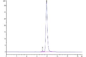 Growth Differentiation Factor 15 (GDF15) (AA 197-308) protein (Fc Tag,Biotin)