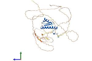 AlphaFold protein structure predicition of Mouse Recombinant Srf Protein, UniprotID Q9JM73