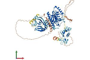 AlphaFold protein structure predicition of Human Recombinant TRMT44 Protein, UniprotID Q8IYL2