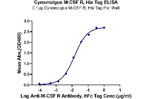 Immobilized Cynomolgus M-CSF R, His Tag at 1 μg/mL (100 μL/well) on the plate.