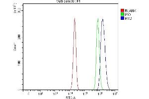 Flow Cytometry analysis of U20S cells using anti-RIT2 antibody (ABIN7599801). (RIT2 anticorps  (AA 119-193))